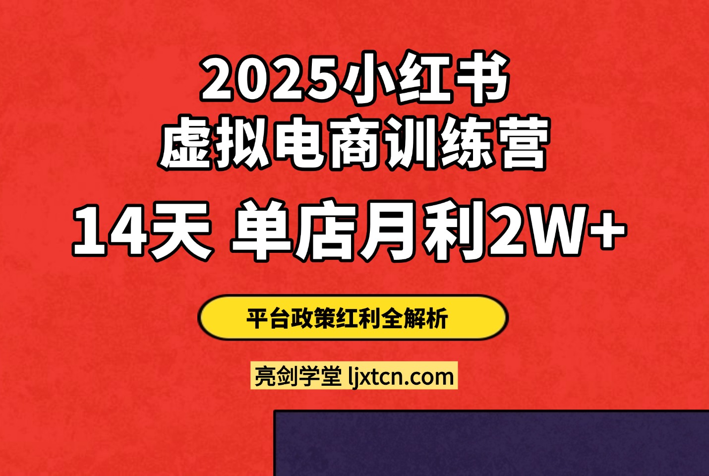 2025小红书虚拟电商训练营：14天单店月利2W+，平台政策红利全解析​-斗金教学
