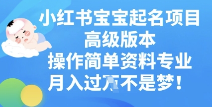 小红书宝宝起名项目高级版本，操作简单，资料专业，月入过W-斗金教学