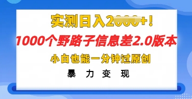 2025抖音1000个野路子信息差最新玩法,一分钟过原创,暴力变现月入几k-斗金教学