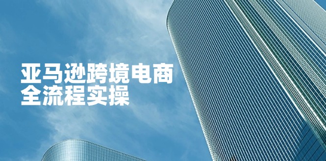（14252期）亚马逊跨境电商全流程实操，教你从零开始，掌握店铺运营与广告技巧-斗金教学
