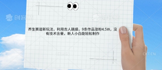 AI养生赛道新玩法，10条作品涨粉5.2W，操作简单，新人小白能轻松制作-斗金教学