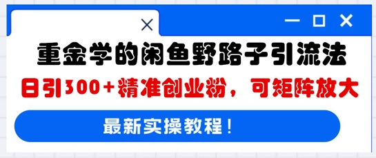 重金学的闲鱼野路子引流法，日引300+精准创业粉，可矩阵放大-斗金教学