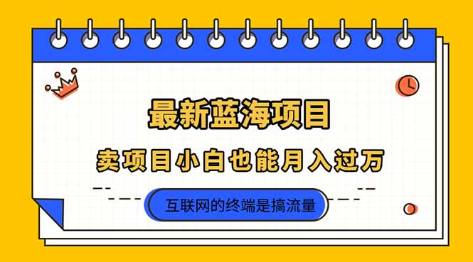 （14289期）2025年最新蓝海项目，卖项目小白也能月入过万-斗金教学