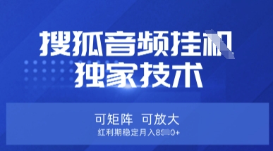 【搜狐音频挂G】独家技术，可矩阵可放大，红利期稳定月入8k【揭秘】-斗金教学