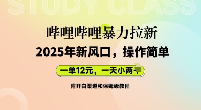 哔哩哔哩暴力拉新：2025年新风口，一单12元，一天数张(附开白渠道和保姆级教程)-斗金教学