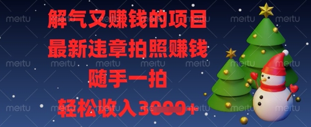 解气又挣钱的项目，最新违章拍照挣钱，随手一拍，轻松收入数张【揭秘】-斗金教学